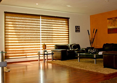 Razones por las cuales elegir sus cortinas Sheer Elegance sintéticas Cortinas Sheer Elegance sintéticas en la sala de descanso de su hogar